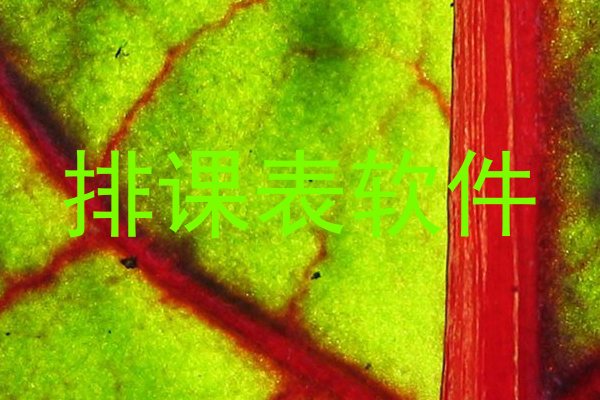 排课表软件