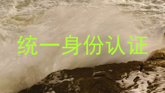 统一身份认证