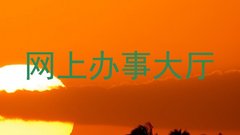 网上办事大厅