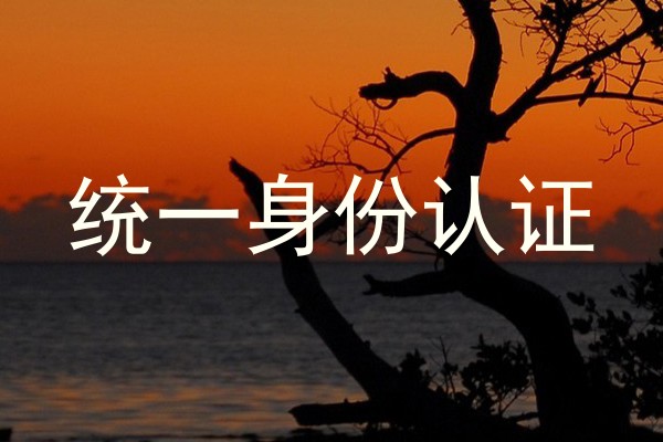 统一身份认证