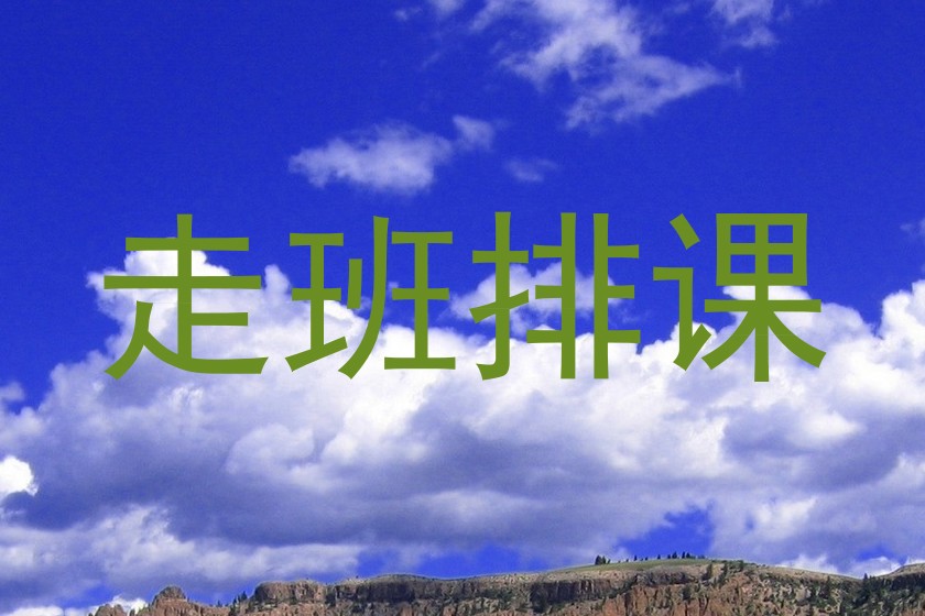 走班排课