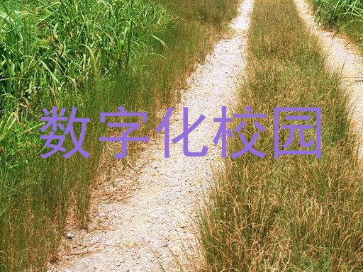 数字化校园