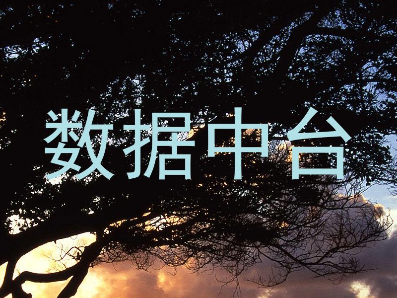 数据中台
