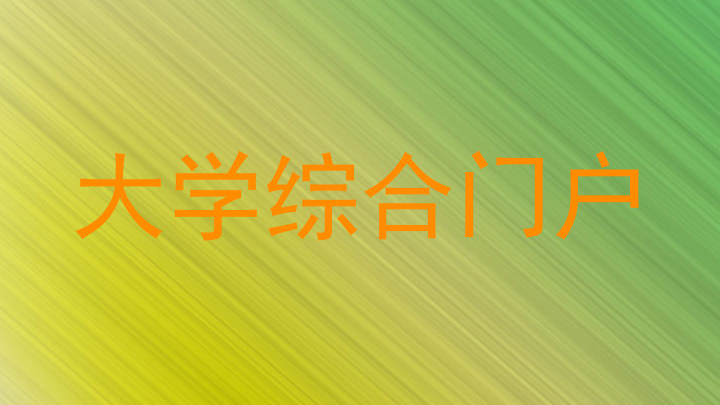 大学综合门户