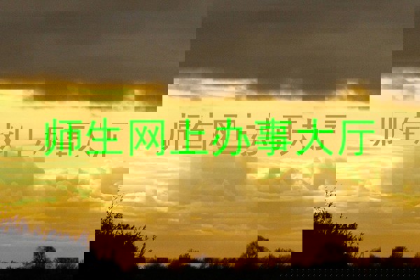 师生网上办事大厅