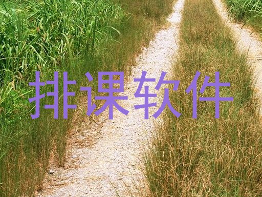 排课软件