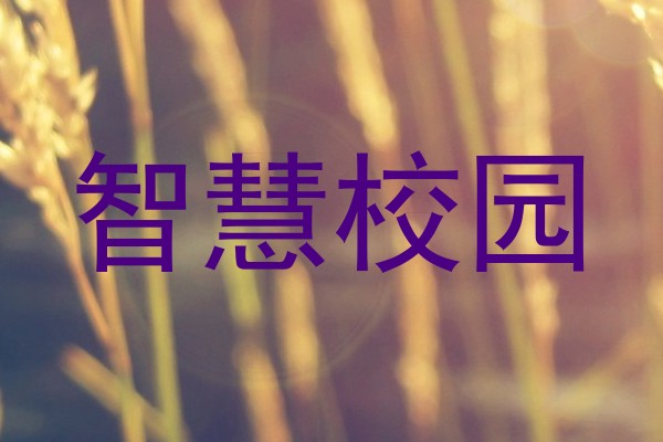 智慧校园