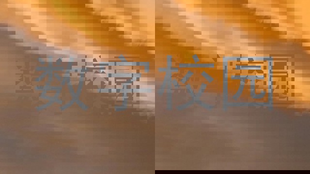 数字校园