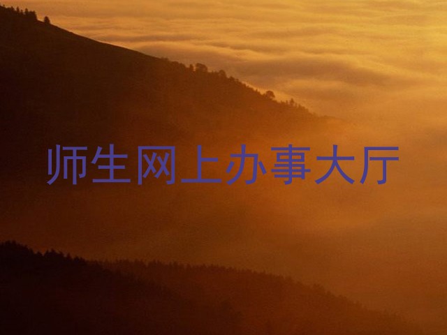 师生网上办事大厅