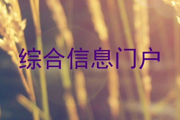 综合信息门户