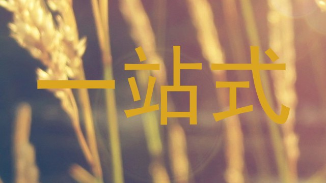 一站式