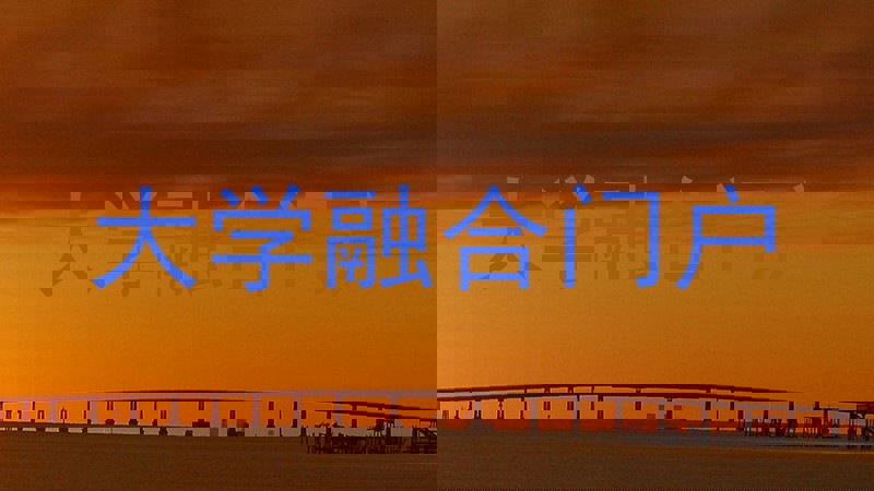 大学融合门户