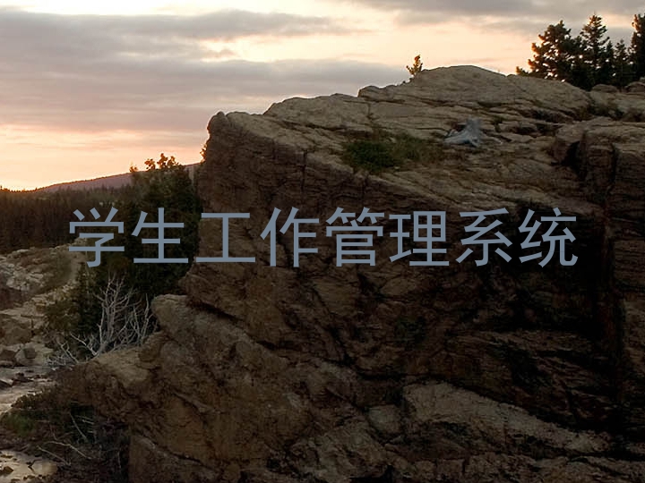 学生工作管理系统