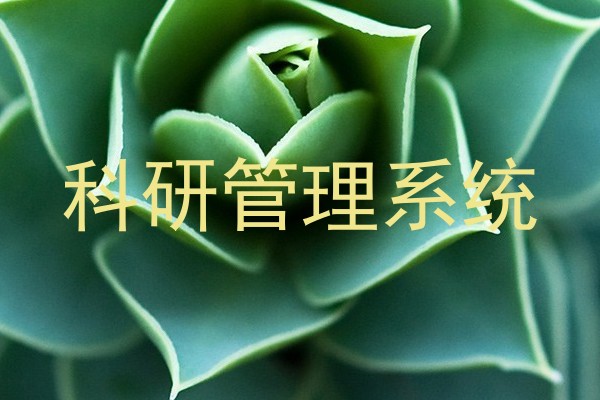 科研管理系统
