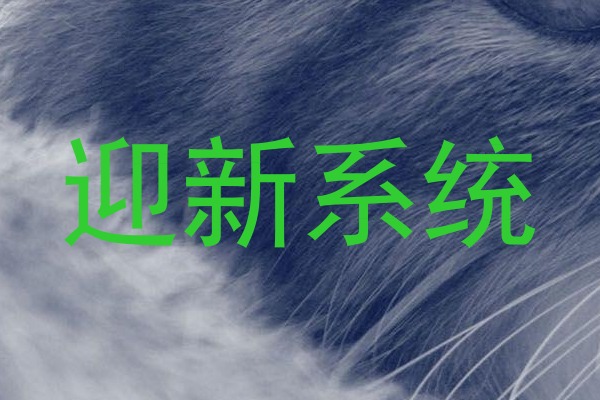 迎新系统