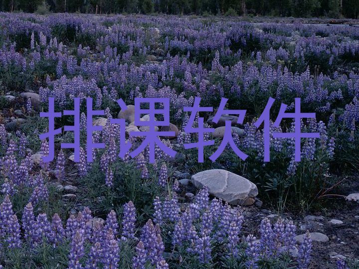 排课软件