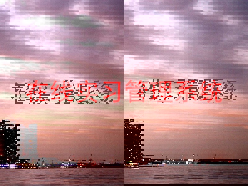 在线实习管理系统