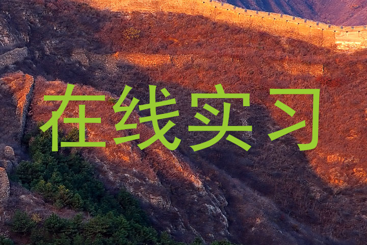 在线实习
