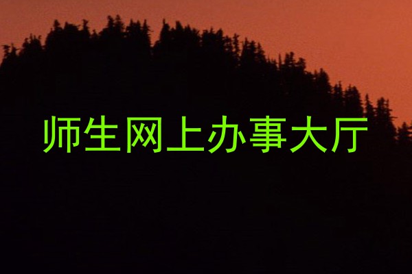 师生网上办事大厅