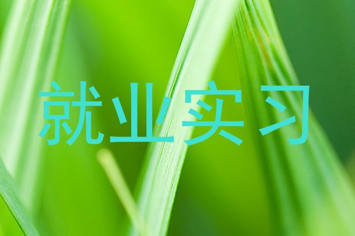 就业实习