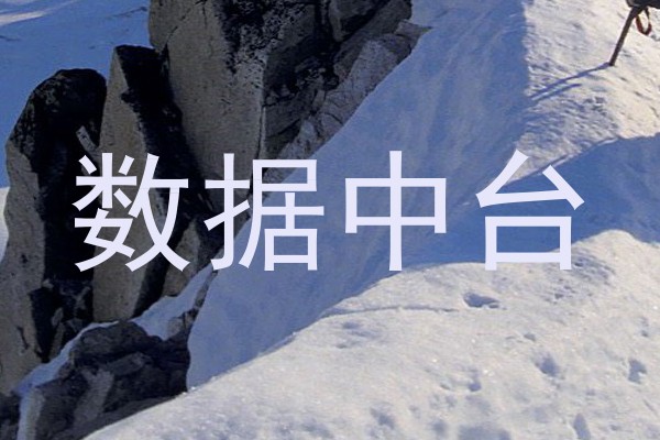 数据中台