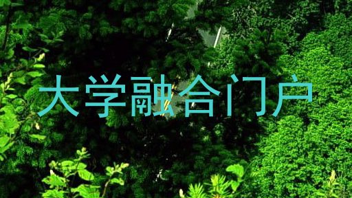 大学融合门户