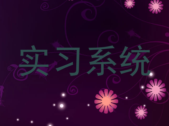 实习系统