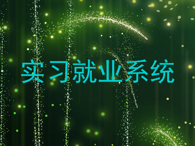 实习就业系统