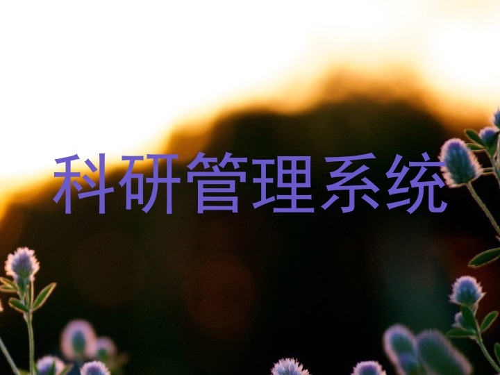 科研管理系统