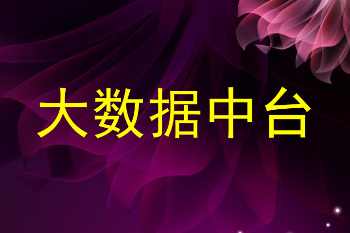 大数据中台
