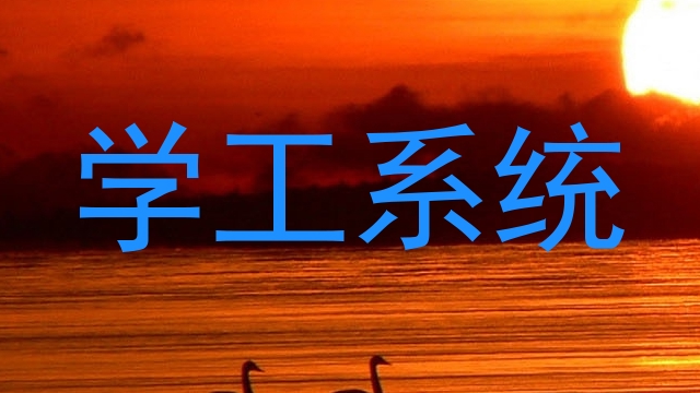 学工系统