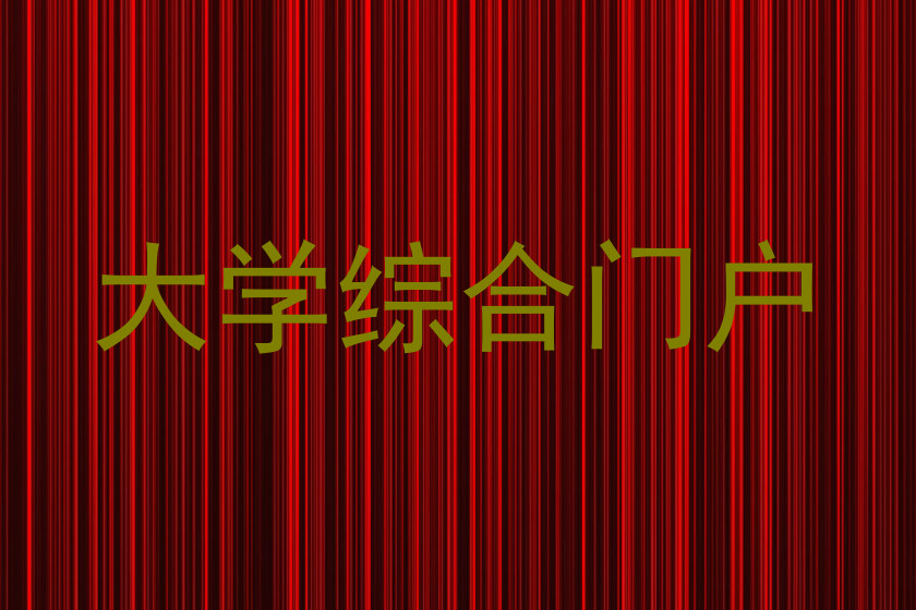 大学综合门户
