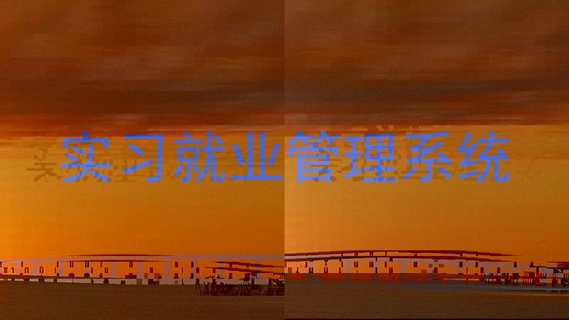 实习就业管理系统