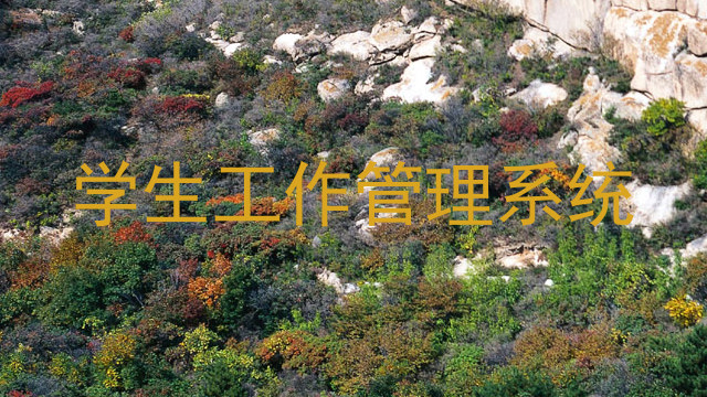 学生工作管理系统