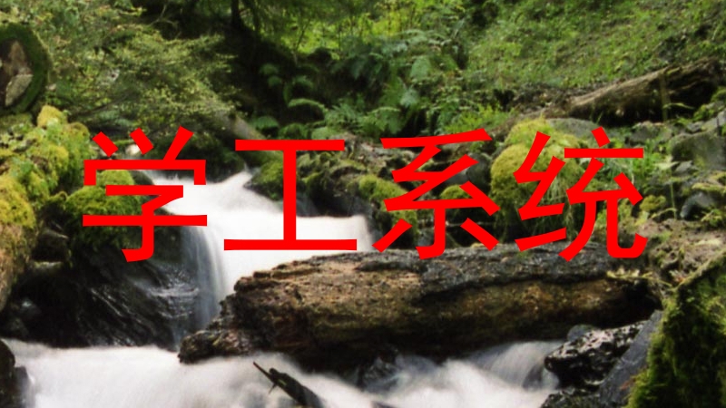 学工系统
