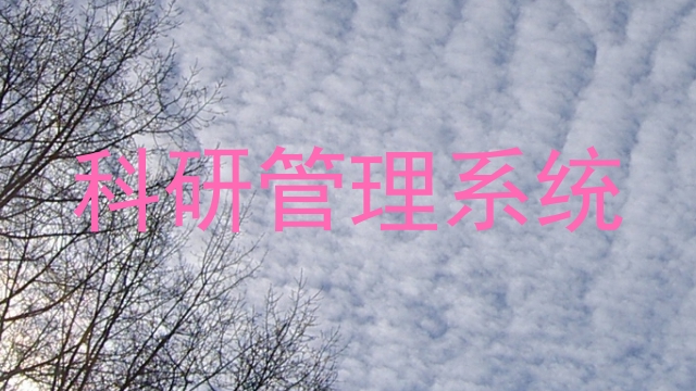 科研管理系统