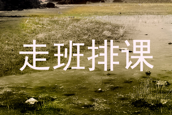 走班排课