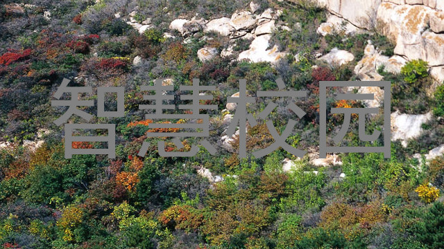 智慧校园