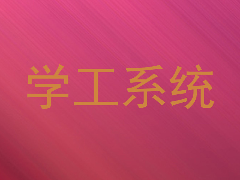 学工系统