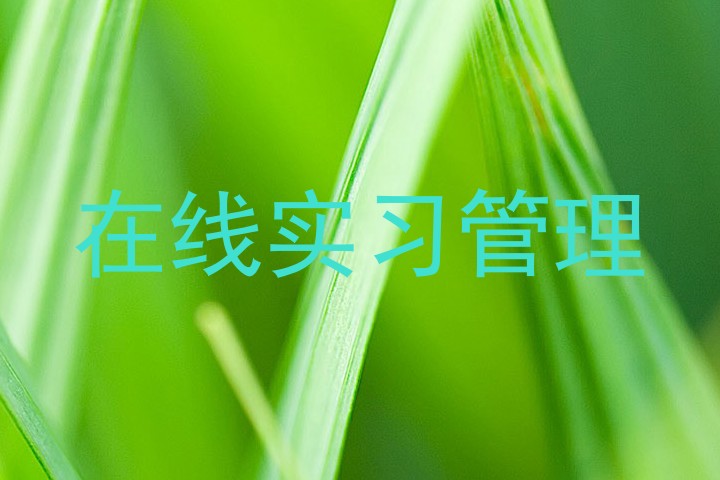 在线实习管理