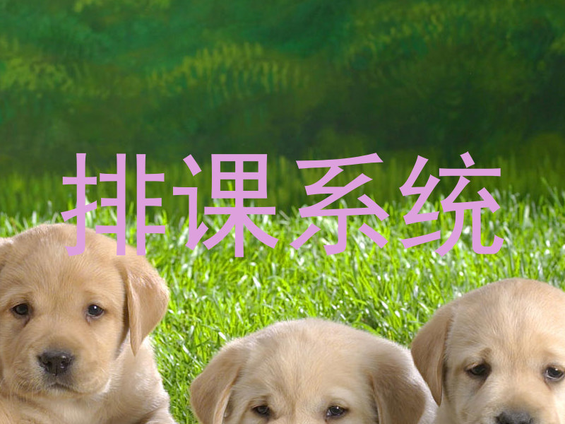 排课系统
