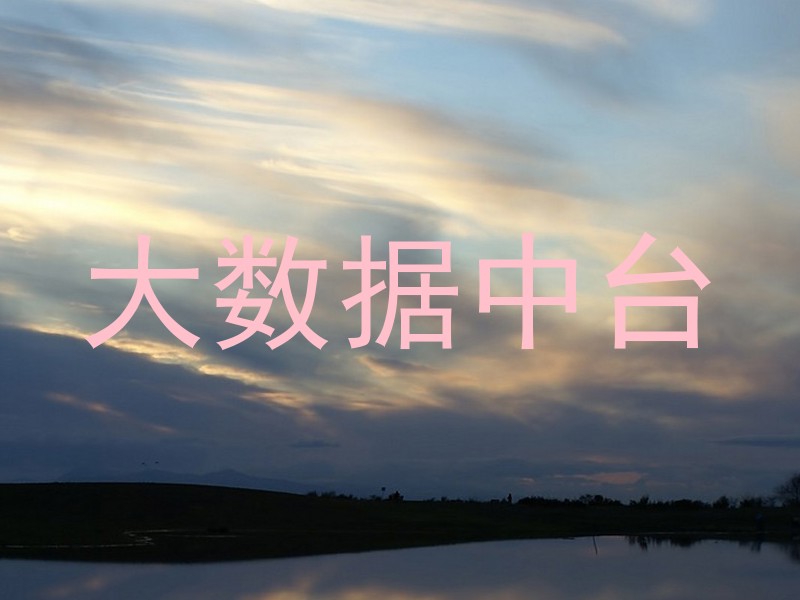 大数据中台