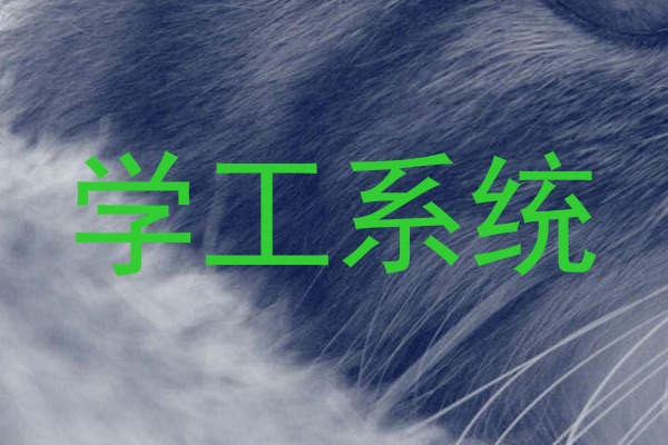 学工系统