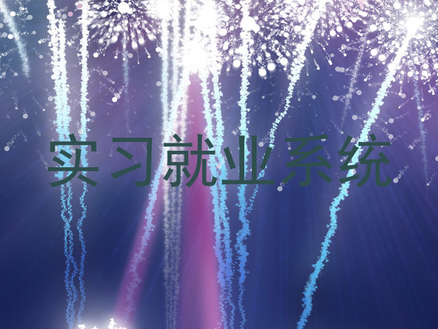实习就业系统