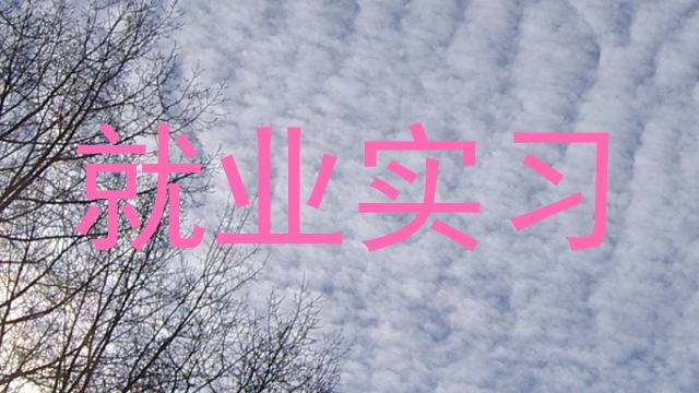 就业实习