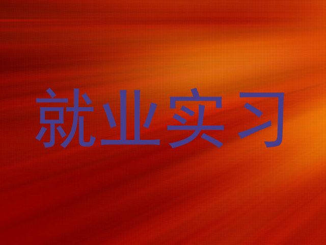 就业实习