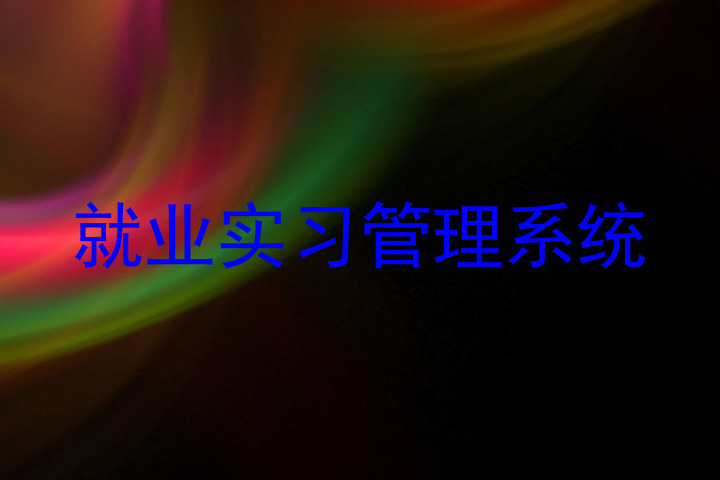 就业实习管理系统