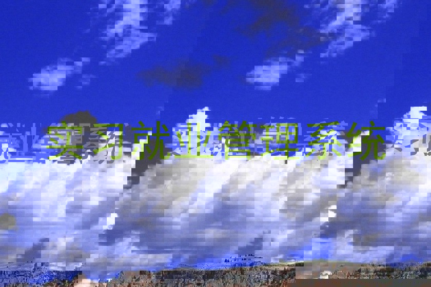 实习就业管理系统