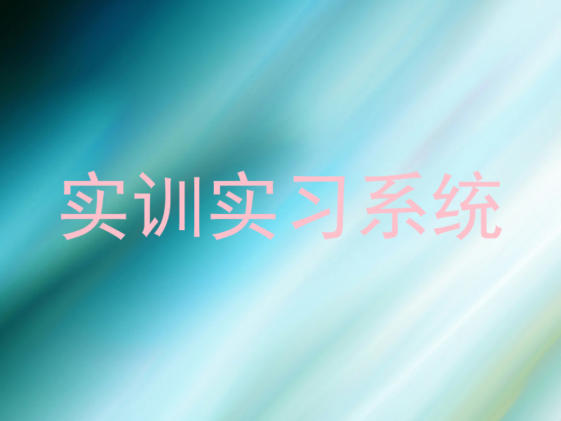 实训实习系统