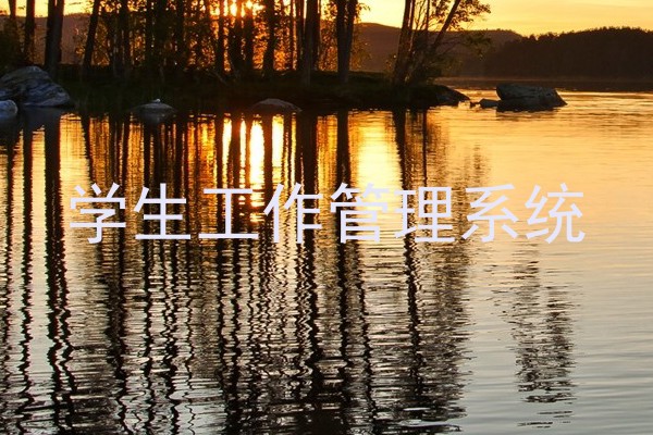 学生工作管理系统